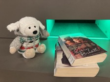 250325_Flo-Flocke_50_Bibliothek_4_orig