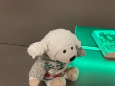 250325_Flo-Flocke_50_Bibliothek_5_orig