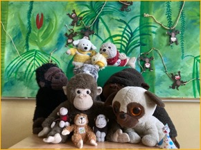 260317_Flo-Flocke-Blog-60_affen1_teaser