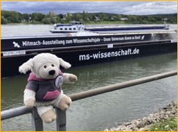 Blog_Flo-Flocke_MS Wissenschaft_Ausschnitt_web